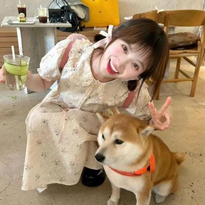 义犬奇行录